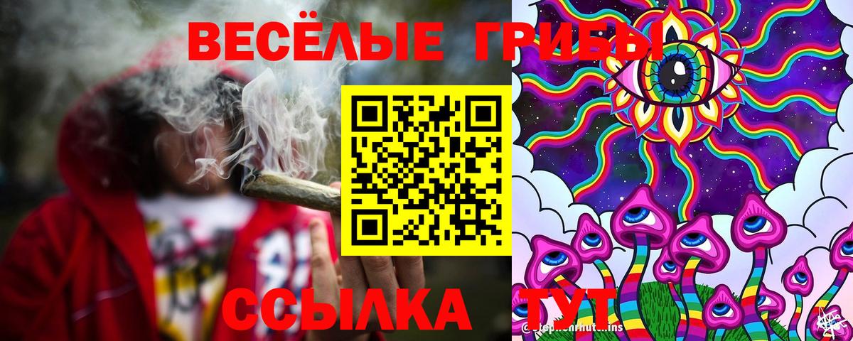 Галлюциногенные грибы прущие грибы Семилуки