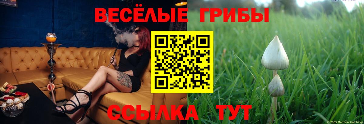 Галлюциногенные грибы Psilocybine cubensis  Вход с VPN  Галлюциногенные грибы MAGIC MUSHROOMS  Семилуки 